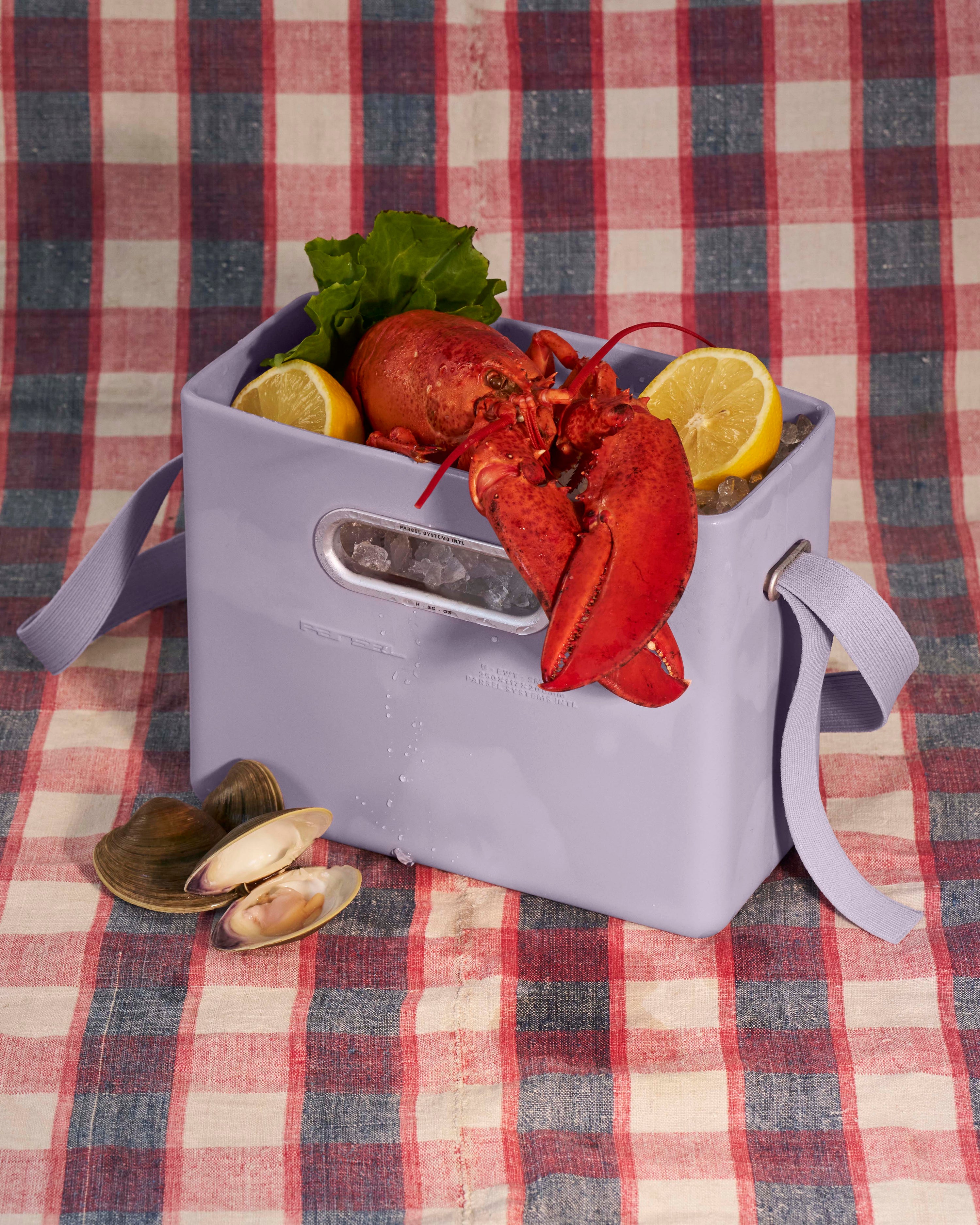 EAST WEST TOTE SYSTEM - SMALL